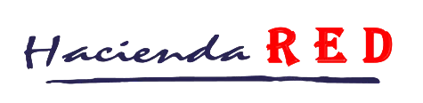 Partner 20